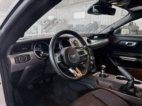 Used 2023 Ford Mustang GT w/ Mustang Nite Pony Package RWD image 8