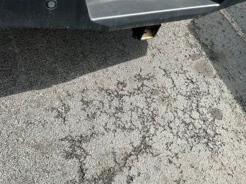 Used 2021 Toyota Tacoma TRD Off-Road w/ TRD Premium Off Road Package image 6