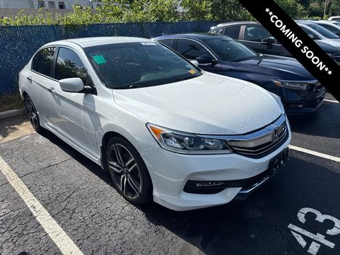 Used 2017 Honda Accord Sport Special Edition image 1