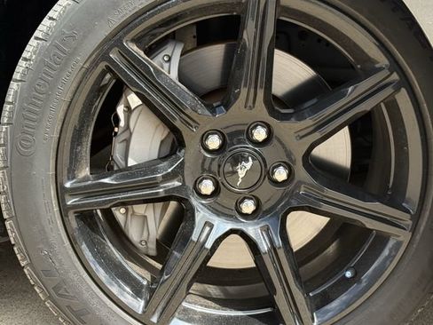 Used 2019 Ford Mustang GT Premium w/ Black Accent Package RWD image 9