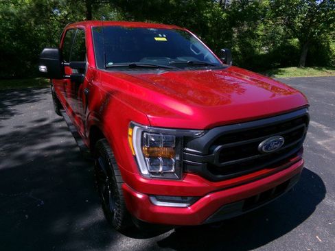 Used 2021 Ford F150 XLT w/ Equipment Group 302A High AWD/4WD image 2