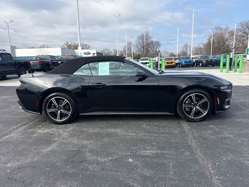 Used 2025 Ford Mustang Premium image 6