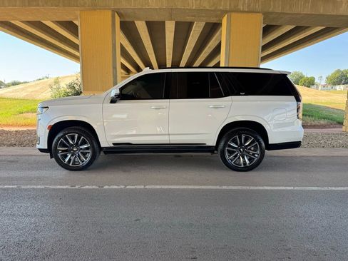 Used 2021 Cadillac Escalade Sport Platinum image 6