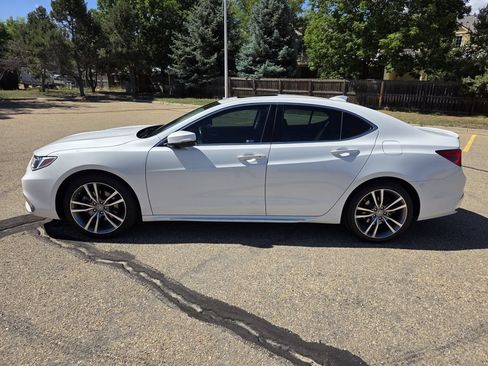 Used 2019 Acura TLX w/ Advance Package AWD/4WD image 2
