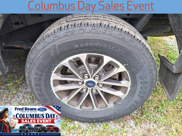 Used 2019 Ford F150 XLT w/ Equipment Group 302A Luxury AWD/4WD image 5