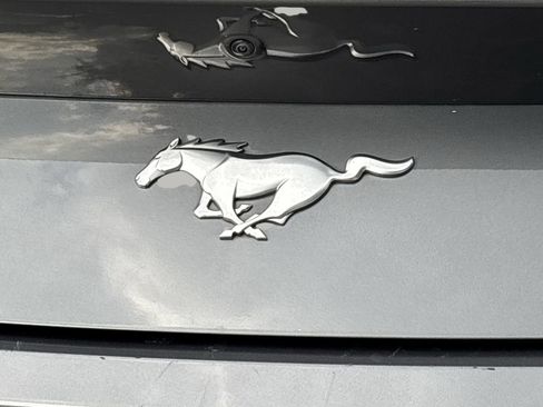 Certified 2024 Ford Mustang Premium image 9