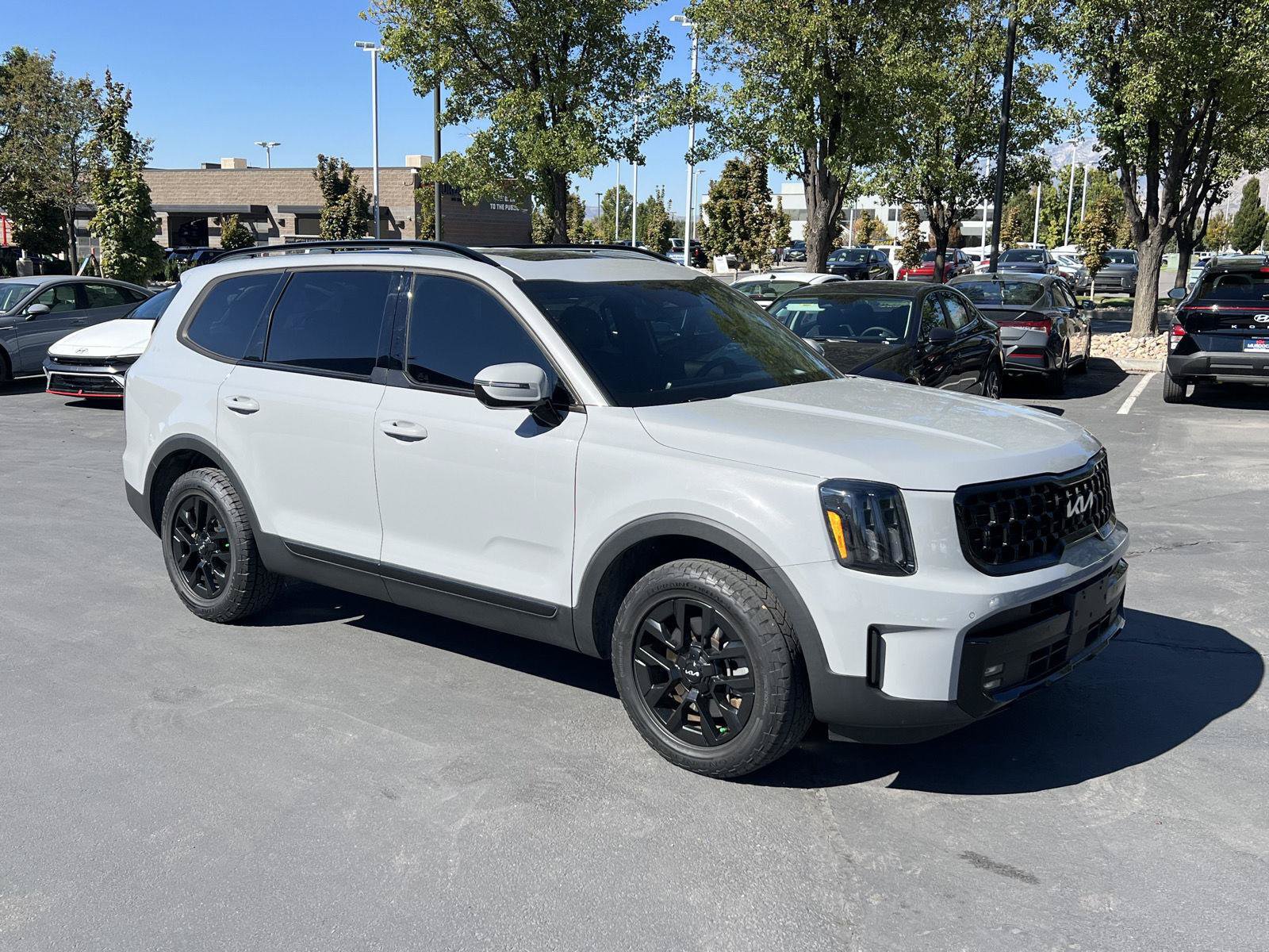Used 2024 Kia Telluride SX Prestige X-Pro AWD/4WD image 12