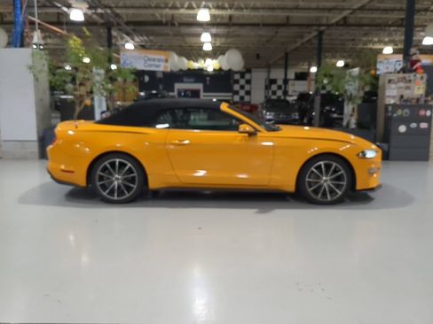 Used 2019 Ford Mustang Premium w/ Equipment Group 201A RWD image 5