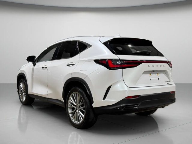 Certified 2025 Lexus NX 350h AWD w/ Cold Area Package image 6