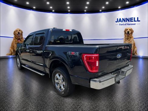 Used 2022 Ford F150 XLT w/ Equipment Group 302A High AWD/4WD image 8