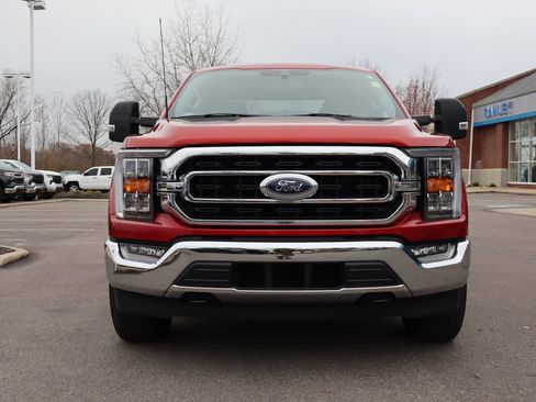 Used 2023 Ford F150 XLT w/ Equipment Group 302A High image 7