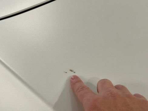 Used 2024 Lexus LC 500 Convert w/ Inspiration Series image 88