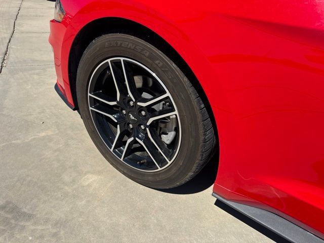 Used 2019 Ford Mustang Premium RWD image 7