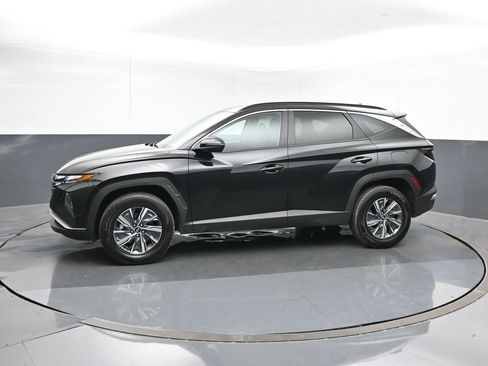 Used 2023 Hyundai Tucson Blue image 2