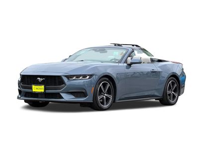 Used 2024 Ford Mustang Premium