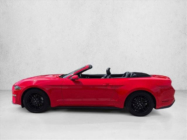 Used 2019 Ford Mustang Premium RWD image 9