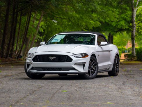 Used 2019 Ford Mustang GT Premium w/ Equipment Group 401A RWD image 3