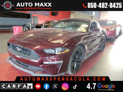 Used 2018 Ford Mustang Premium w/ Equipment Group 201A image 1