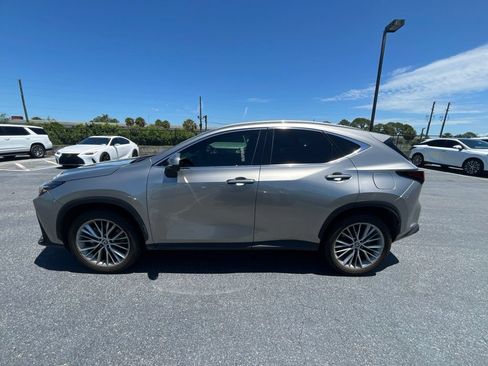 Used 2025 Lexus NX 350 AWD w/ Cold Area Package image 2