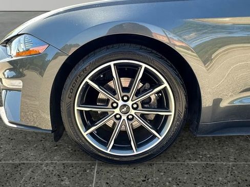 Used 2019 Ford Mustang Premium w/ Equipment Group 201A RWD image 14