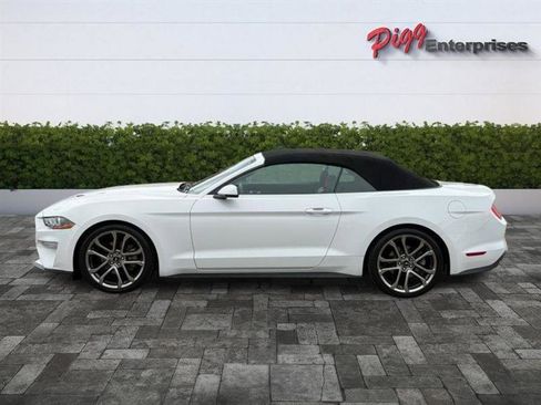 Used 2018 Ford Mustang Premium w/ Equipment Group 201A RWD image 3