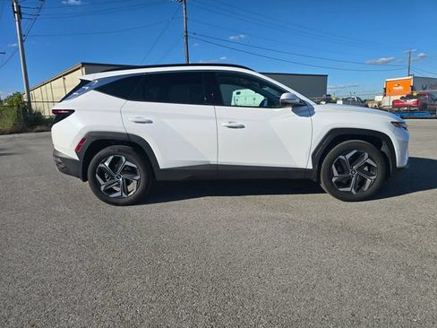 Used 2023 Hyundai Tucson Limited AWD/4WD image 2
