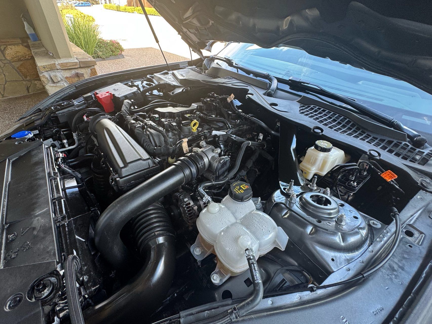 Used 2025 Ford Mustang Premium RWD image 25