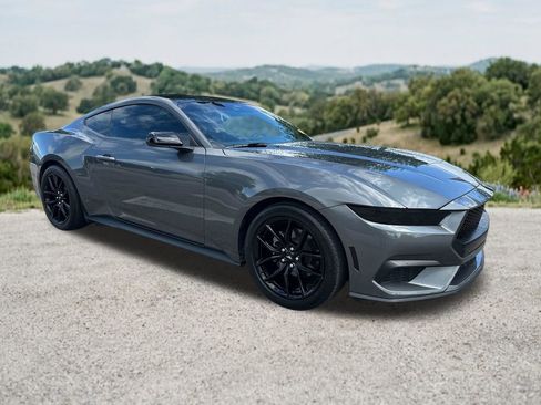 Used 2024 Ford Mustang Premium w/ Mustang Nite Pony Package RWD image 1