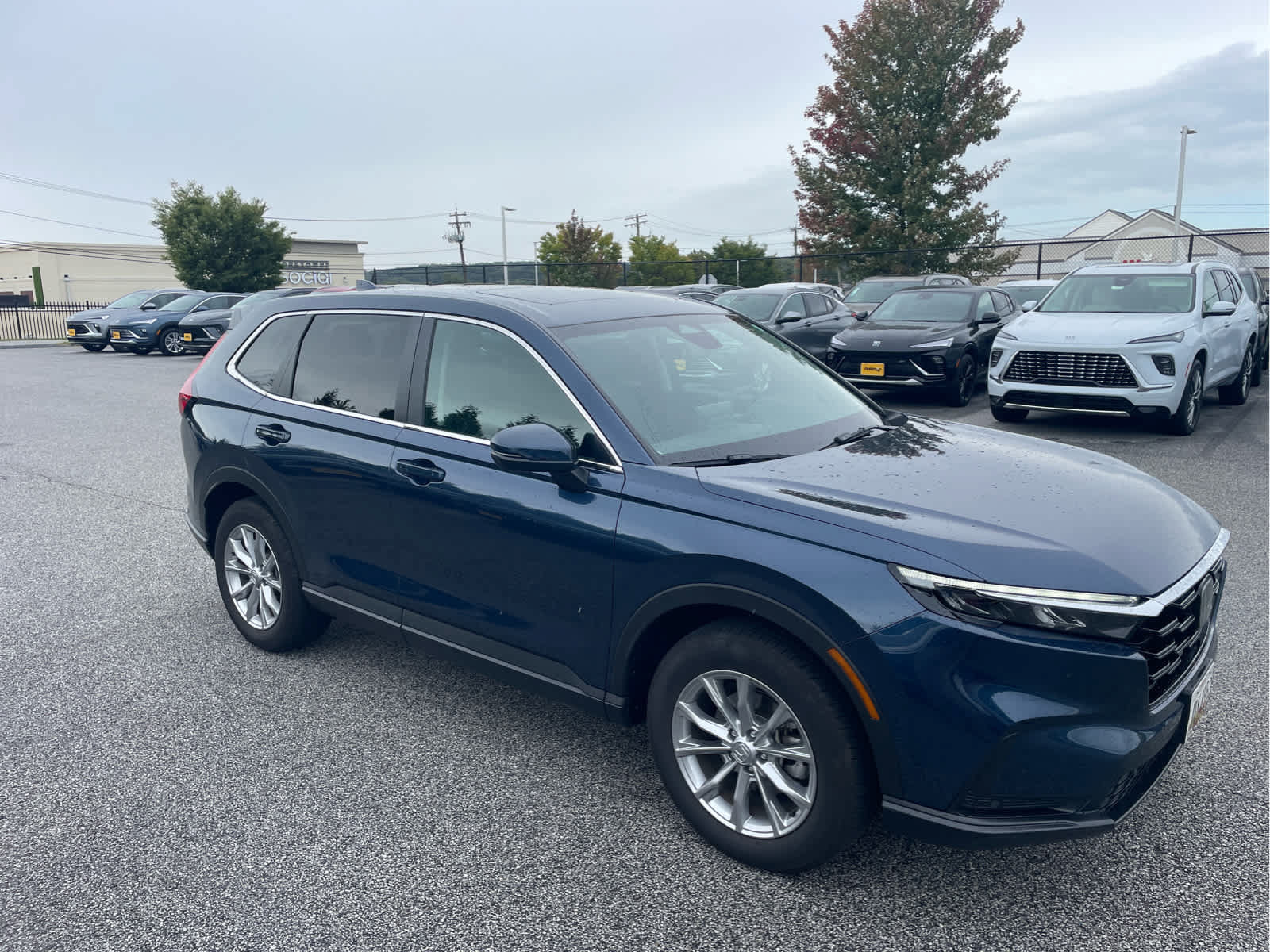 Used 2025 Honda CR-V EX-L image 5
