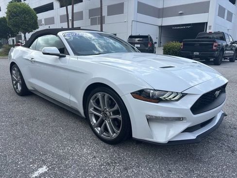 Used 2022 Ford Mustang Premium w/ Equipment Group 201A RWD image 1