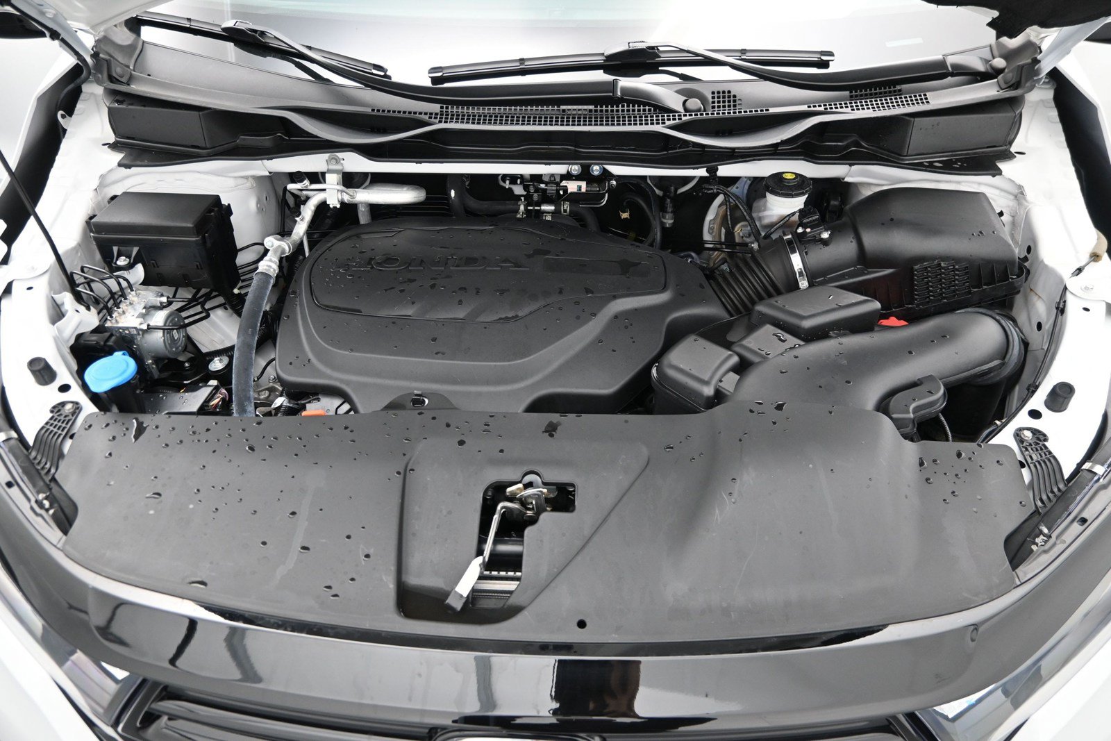 Used 2024 Honda Odyssey Sport image 14