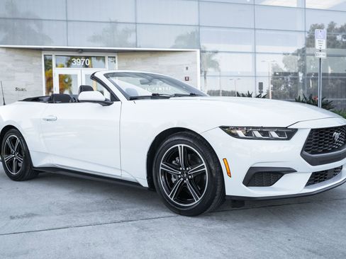 Used 2024 Ford Mustang EcoBoost image 4