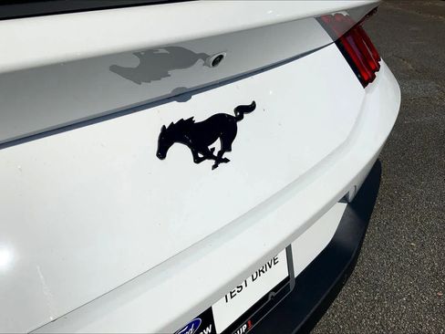 New 2026 Ford Mustang Coupe image 15