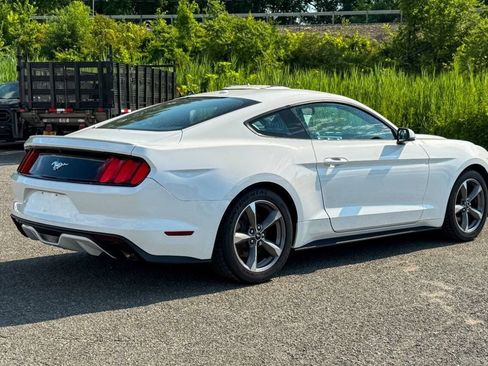 Used 2016 Ford Mustang Premium w/ Equipment Group 201A RWD image 3