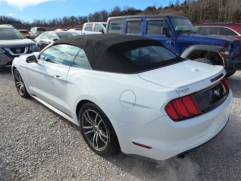 Used 2017 Ford Mustang Premium image 4