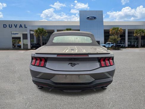 Used 2025 Ford Mustang Convertible w/ Mustang Nite Pony Package image 5