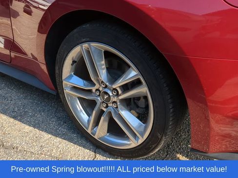 Used 2021 Ford Mustang GT Premium w/ Equipment Group 401A RWD image 13