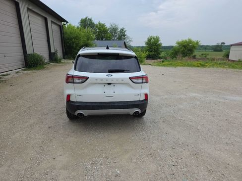 Used 2020 Ford Escape SEL AWD/4WD image 6
