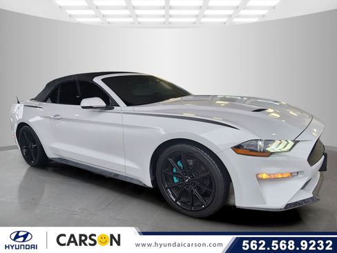 Used 2019 Ford Mustang Premium w/ Equipment Group 201A image 1
