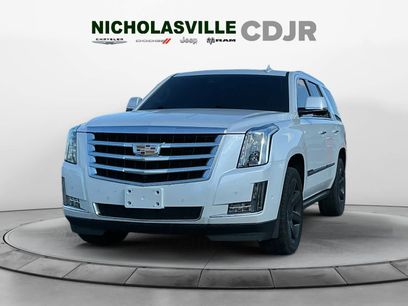 Used 2019 Cadillac Escalade Premium Luxury