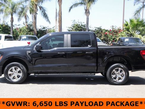 Used 2024 Ford F150 STX w/ STX Black Appearance Package AWD/4WD image 5