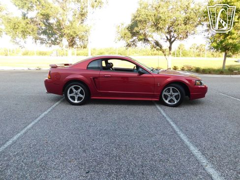 Used 2001 Ford Mustang Cobra image 3