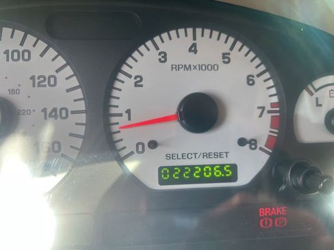 Used 2001 Ford Mustang Cobra RWD image 6