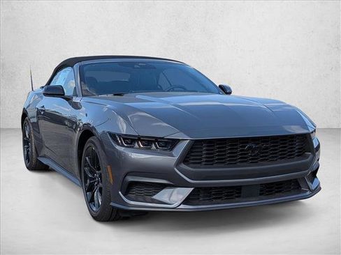 New 2026 Ford Mustang Premium w/ Mustang Nite Pony Package image 6