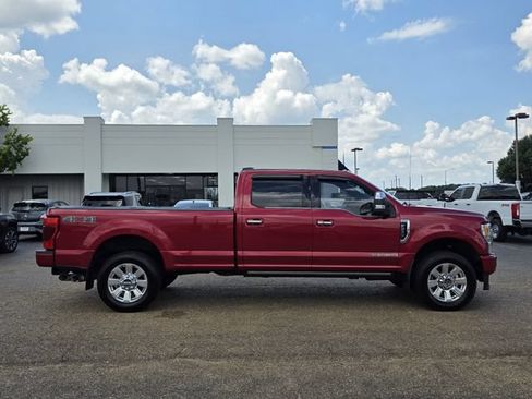 Used 2021 Ford F250 Platinum w/ Snow Plow Prep Package AWD/4WD image 3