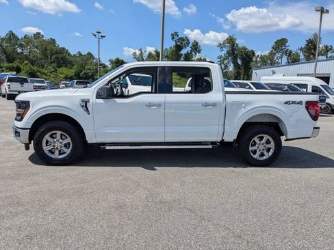 Used 2025 Ford F150 XLT w/ Equipment Group 301A Standard AWD/4WD image 9