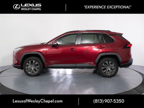 Used 2024 Toyota RAV4 XLE Premium w/ Weather Package AWD/4WD image 10