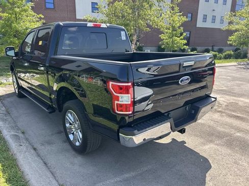 Used 2019 Ford F150 XLT w/ Equipment Group 302A Luxury AWD/4WD image 5
