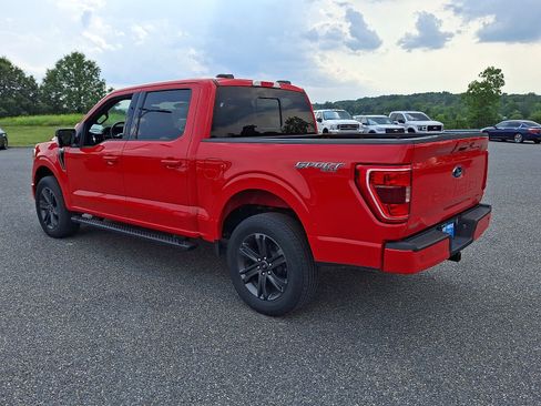 Used 2023 Ford F150 XLT w/ Equipment Group 302A High AWD/4WD image 5