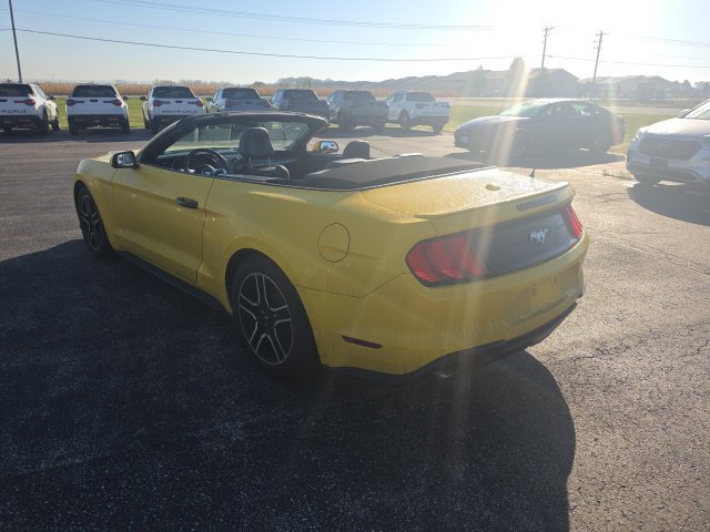 Used 2018 Ford Mustang Premium w/ Equipment Group 201A RWD image 5